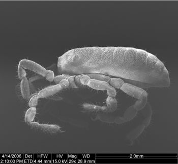 Media type: image;   Invertebrate Zoology 134654